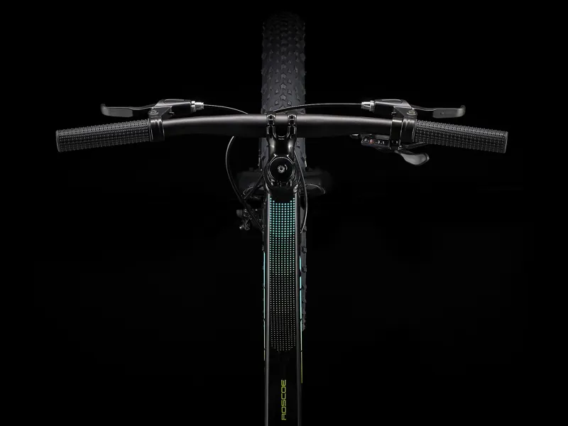 TREK Roscoe 20 Kids Mountain Bike in Black-4